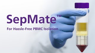 How SepMate™ PBMC Isolation Tubes Work From Whole Blood to PBMCs in 15 Minutes [upl. by Olson]