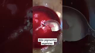 Aprende con migo a hacer pigmentos vegetales Comenta Aprender makeup maquillaje [upl. by Laurens]