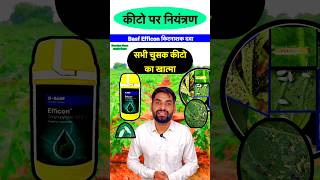 👌 चूसक कीटों का सुरक्षित कीटनाशक  BASF Efficon Insecticide  insecticide pesticides shorts [upl. by Ayenat]