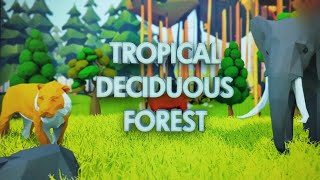 Tropical Deciduous Forests [upl. by Nilrev50]