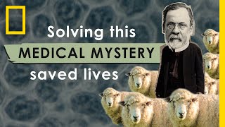 How Solving this Medical Mystery Saved Lives  Nat Geo Explores [upl. by Ermentrude417]