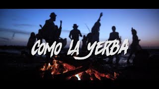 El Canijo de Jerez con La Mari  COMO LA YERBA  Videoclip Oficial [upl. by Tildi888]