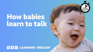 How babies learn to talk ⏲️ 6 Minute English [upl. by Nalod]