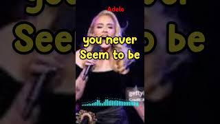 Adele  Hello Shorts Music Lyrics [upl. by Cecilio]