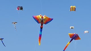 Festival der Riesendrachen auf dem Tempelhofer Feld in Berlin [upl. by Naux]