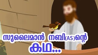 സുലൈമാൻ നബി AS ജീവചരിത്രം Quran Stories Malayalam  Prophet Stories Malayalam  Use of education [upl. by Kennie]