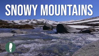 Snowy Mountains Australia in HD AWAKENING [upl. by Orly963]