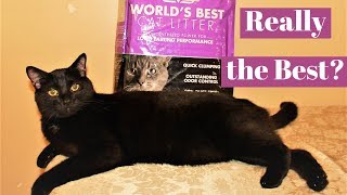 Worlds Best Cat Litter  Review [upl. by Ahsuat]