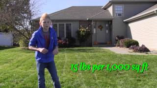 Fall Lawn Recovery Program Steps 2 and 3 [upl. by Ferdy]