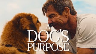 A Dogs Purpose [upl. by Doley]