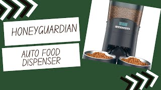 HoneyGuaridan Automatic Cat Feeder  Review [upl. by Jacie]