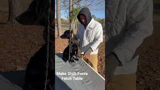 A No Excuses Force Fetch Table Build Your Own [upl. by Anirehc]