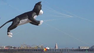 Clacton kites [upl. by Regnig]