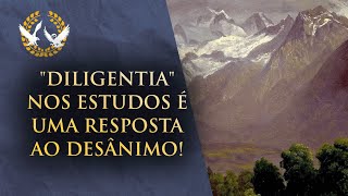 quotDiligentiaquot nos estudos é uma resposta ao desânimo [upl. by Olcott]