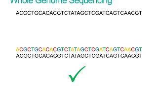 What is Whole Genome Sequencing [upl. by Giraud]