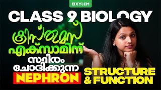 Class 9 Biology  Nephron Structure and Function  Xylem Class 9 [upl. by Aihsatal438]