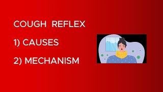 How Do We Cough  The Mechanism of Coughing  Cough Reflex  physiologyvideos [upl. by Nel]