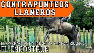 EL ENCONTRON  CONTRAPUNTEO LLANERO EL CARRAO DE PALMARITO Y RAMON BLANCO  ICRecords [upl. by Leirua857]