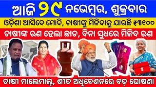 todays morning news odisha29 November 2024subhadra yojana online apply processodisha news today [upl. by Lydnek]