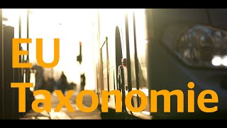 Continental und die EUTaxonomie  Erklärvideo für Flottenkunden [upl. by Atinreb340]