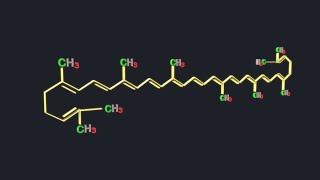 Structure of CarotenoidsI  Dr Rohitashv Choudhary  M Sc Final  Botany [upl. by Latoyia]