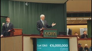 Goffs November Sale Review 2023 [upl. by Giustino763]