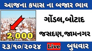 આજના કપાસ ના ભાવ  કપાસ ના બજાર ભાવ  cotton crop price  aaj na kapas na bhav jasdan 23102024 [upl. by Connel]