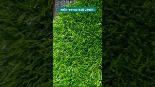 কম দামে আর্টিফিসিয়াল ঘাস কার্পেট কিনুন grass Carpet price in Bangladesh Asifcarpet greengrass [upl. by Nuahc]