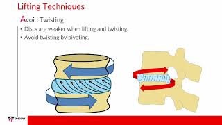 Traditional Manual Materials Handling Tasks [upl. by Bainbridge381]