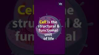 ncert class9 class9biology The Fundamental unit of lifeClass9 CH5NCERTBiologyshorts [upl. by Nauqal]