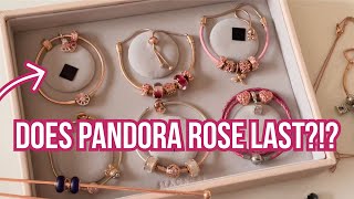 My Pandora Rose Gold Charm Collection Does Pandora Rose LASTPandora Bracelet Pandora Charms [upl. by Ahsinhoj16]