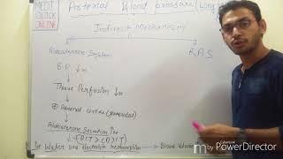 Arterial blood pressure  Long term regulation [upl. by Arbmat]