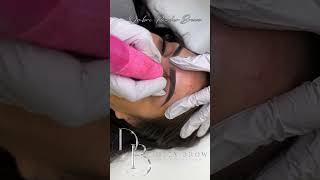 quot🌟 Permanent Eyebrow Makeup Perfect Powder Spraying Technique  Master PMU Tutorialquot [upl. by Ihcekn]