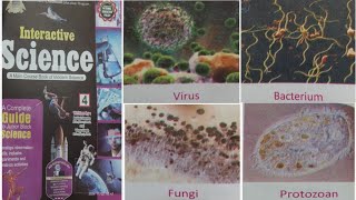 The different kinds of microbes Chapter 9  Science 📚 ka Question Answer [upl. by Gayl]