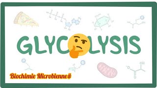 Glycolyse ⚠️معلومات مهمة⛔ [upl. by Autum593]