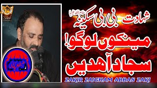 Zakir Zaigham abbas zaki  Majlisaza  24 Safar Thanil Fatohi [upl. by Alrich]