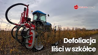 Mechaniczna defoliacja liści w szkółce [upl. by Jahdol]