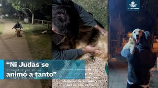 Así reaccionó lomito al reencontrarse con el ex de su dueña después de un año de no verlo [upl. by Lauretta]