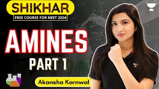 Amines  Part 1  NEET 2024  Akansha Karnwal [upl. by Nob863]