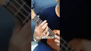 FANA MERAH JAMBU ukulele cover ukulele ukulelecover fanamerahjambu fourtwnty [upl. by Morrill]