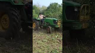 What time are the mangoes in the garden  What happens when plowing a mango grove  mango field [upl. by Zap]