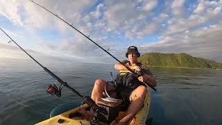 Snapper Gurnard amp Kahawai  Plimmerton November 2024 [upl. by Drooff]