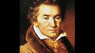 Ludwig van Beethoven Symphony No 7  Allegro con Brio [upl. by Isabella]