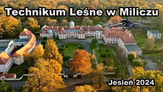 Technikum Leśne w Miliczu [upl. by Yssor]