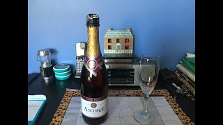 Werby’s Sparkling Wine Review André Cold Duck [upl. by Sacksen387]