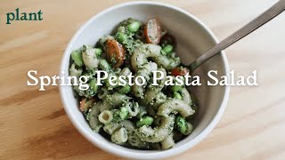 Spring Pesto Pasta Salad Recipe [upl. by Corell85]