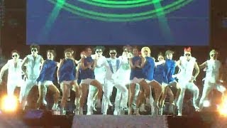 【TVPP】PSY  Gangnam Style 싸이  강남스타일  Concert Show Music Core live [upl. by Nylekcaj]