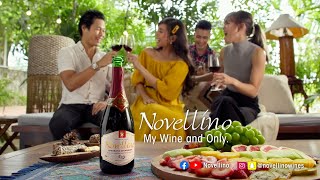 Moments Made More Special with Novellino Full Video [upl. by Ilehs]