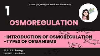 1 Osmoregulation  Stenohaline Euryhaline Osmoconformers Osmoregulators MSc BSc FtFigo pens [upl. by Holmes]