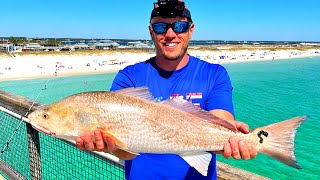 Saltwater Pier Fishing  Cooking Whatever We Catch [upl. by Nesahc]